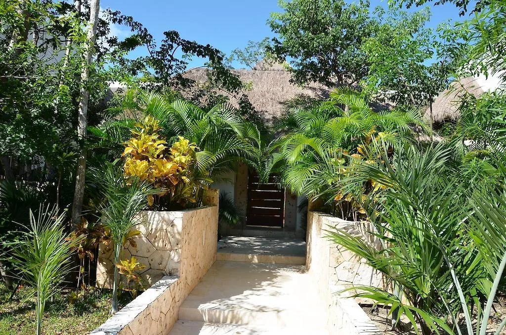 Stay In Tulum! Tulum